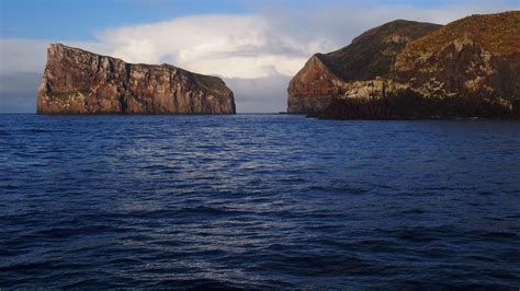 Invertebrates on the Antipodes Island | Conservation blog