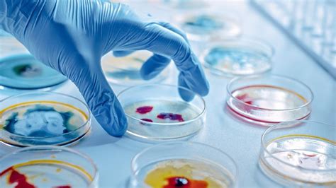 Biosafety in Microbiology Laboratories