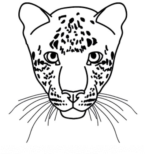 How to draw a leopard face sketch in 2020? | Leopard drawing, Leopard ...