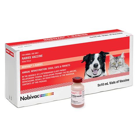 Which Rabies Vaccine Is Best For Dogs?