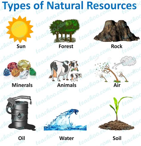 Types Of Natural Resources