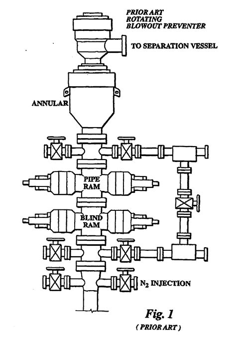 Patent EP1627986B1 - Rotating blow out preventer - Google Patents