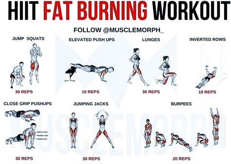 What Exercises Burn The Most Fat At Gym A Guide To Effective Workouts ...