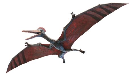 3D model pterodactyl pterodactylus - TurboSquid 1640470