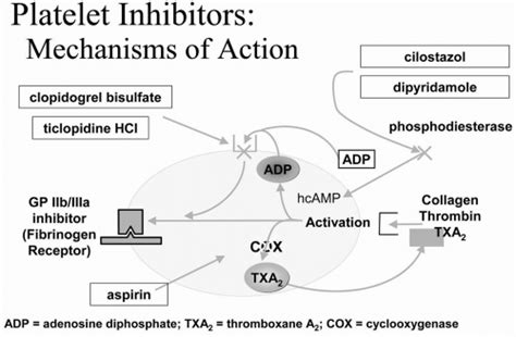 Platelet Inhibition, Anticoagulants, and Thrombolytic Therapy ...