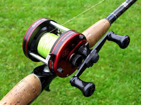 Types of Fishing Reels Explained: Full Guide (with Pics)