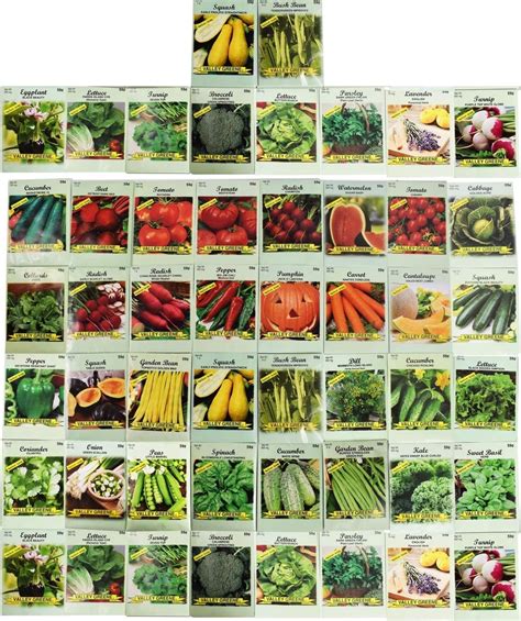 50 Packs Assorted Heirloom Vegetable Seeds 20+ Varieties All Seeds are ...