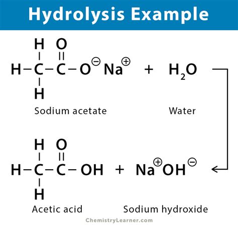 Hydrolysis Reaction: Definition, Equation, and Applications