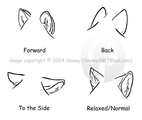 Wolf Ears | Drawing tips, Anime drawings tutorials, Wolf ears