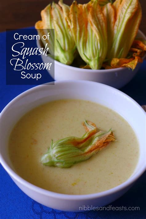 Cream of Squash Blossom Soup - Nibbles and Feasts