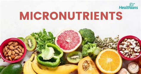 Role of micronutrients - HEALTHIANS BLOG