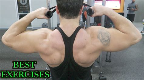 Top 3 Exercises to Build Rear Delts, Rhomboids, & Middle Traps - YouTube