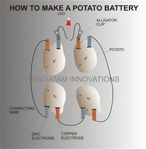 How to Make a Potato Battery: Experiment with Electricity