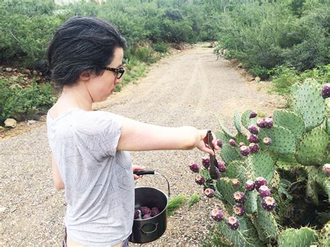 Harvesting Prickly Pear Fruit - autumn makes and does