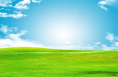 Blue Sky Green Grass Background