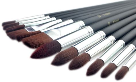 Paint Brushes - 12 Piece Artist Paint Brush Set for Oil Painting ...