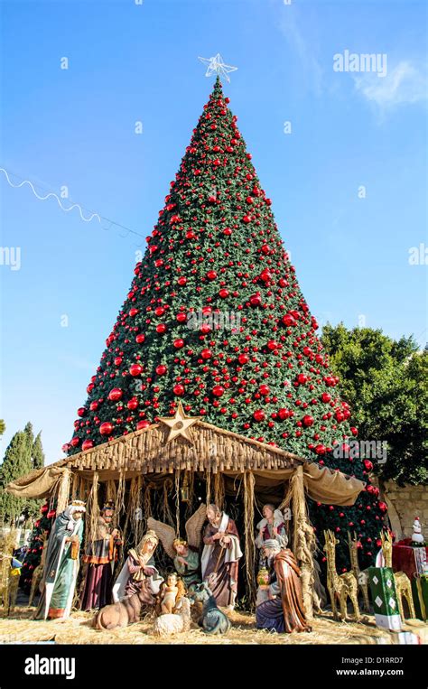 Christmas tree on the square of Bethlehem, Palestine Stock Photo - Alamy