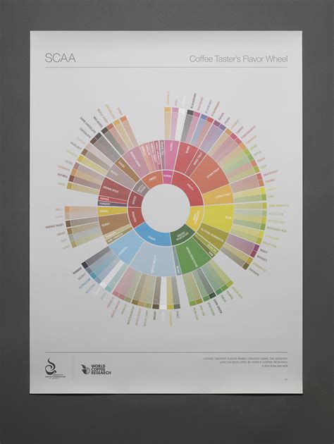 SCAA Flavor Wheel | Our Work