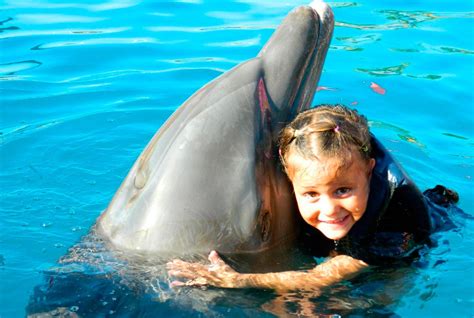 Swimming with Dolphins. Such a unique experience for a child. Dolphin ...