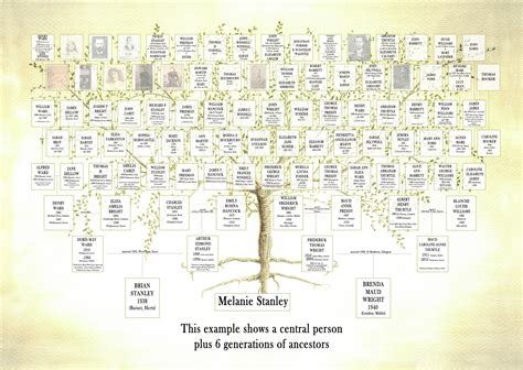 10 Generation Family Tree Chart