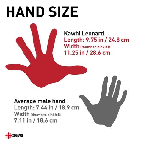 Kawhi Leonard Hand Size - Kawhi Leonard S Hands Makes Morning Nba Nba ...