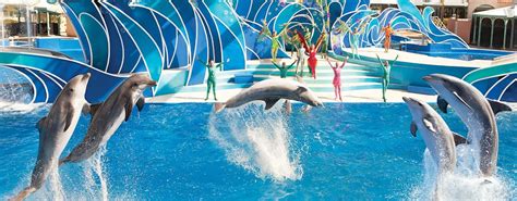 SeaWorld San Diego tickets | musement