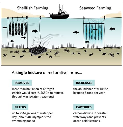 Restorative Aquaculture for Nature and Communities | TNC