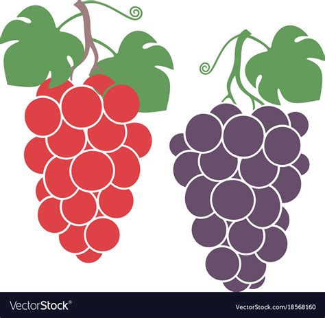 Grapes set Royalty Free Vector Image - VectorStock