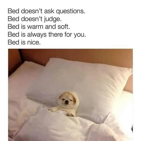 Top Funniest Sleep Memes: Take Your Portion of Good Laugh | Sleep funny ...