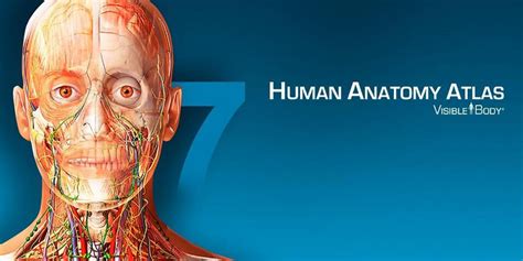 Human Anatomy Atlas 2024+ - Joya Rubina