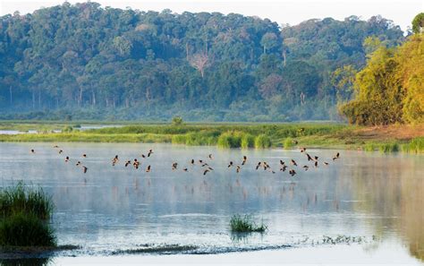 Vietnam national parks: Guide to the most scenic places