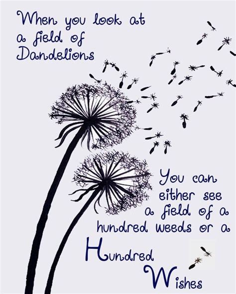 When you look at a field of ... | Dandelion quotes, Dandelion wish ...