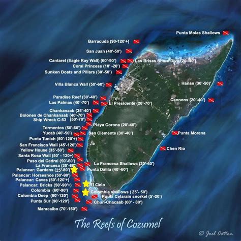 Mystic Snorkel | Cozumel | Diving, Cozumel scuba diving, Scuba diving