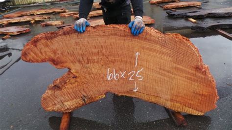 Redwood Burl Slabs 4 – Redwood Burl Inc.