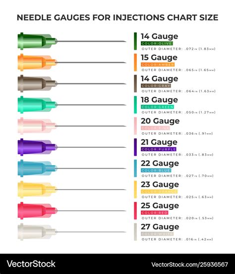 Needle gauges for injections chart size Royalty Free Vector