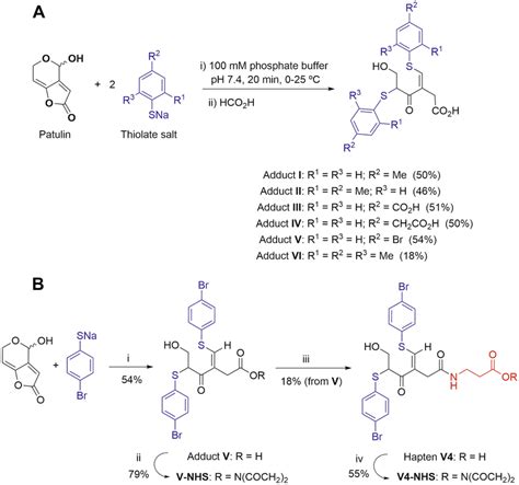 (A) Reaction of patulin with the studied aromatic thiols and structures ...