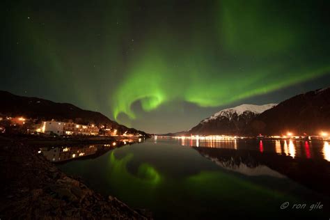 Juneau Northern Lights 4.12,14 | Alaska travel, Northern lights, Dream ...