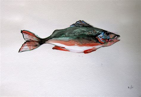 Red cod fish :) | Watercolor paintings, Painting, Watercolor