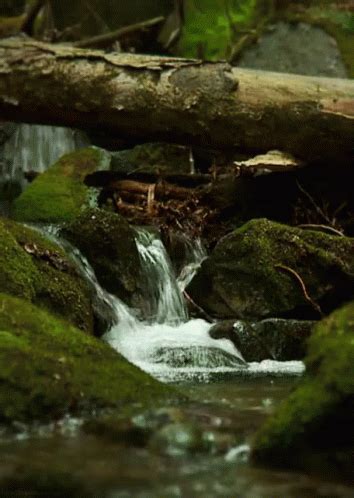 Waterfall From Http:https://Headlikeanorange.Tumblr.Com/ GIF - Waterfall ...