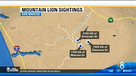 Warnings after possible mountain lion sightings - CBS News 8 - San ...