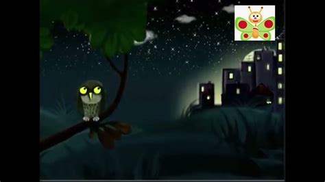 look around you baby tv English owl 🦉 - YouTube