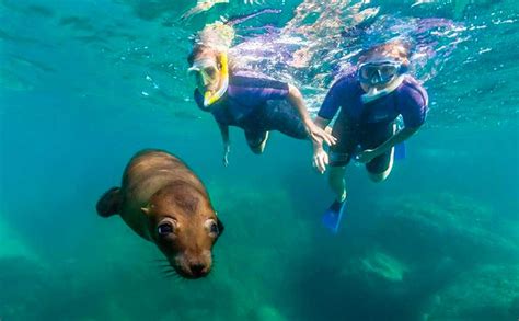 Paquete Vive Galápagos | Volcanic Paradise