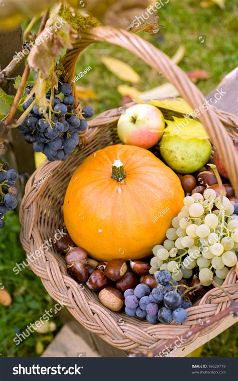 Autumn Basket With Fruits And Vegetables Stock Photo 18629719 ...