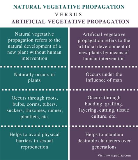 Difference Between Natural and Artificial Vegetative Propagation ...