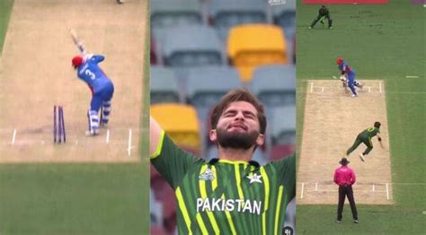 PAK vs AFG: Shaheen Shah Afridi back with a bang, picks 2/29 in T20 ...