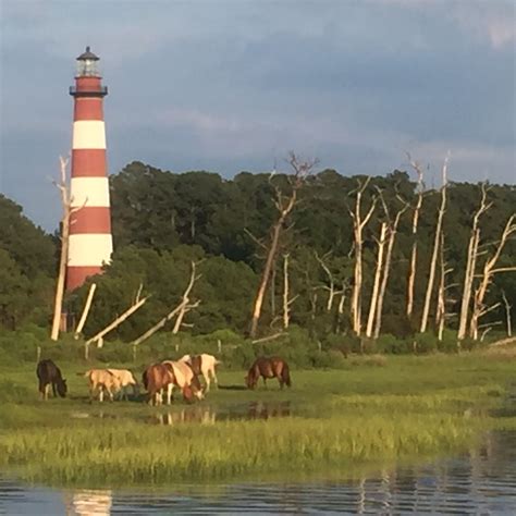 Chincoteague Island Adventures - Eastern Shore of Virginia Tourism ...