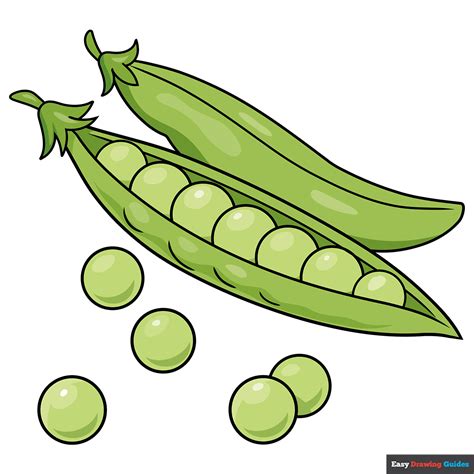 How to Draw Peas - Really Easy Drawing Tutorial