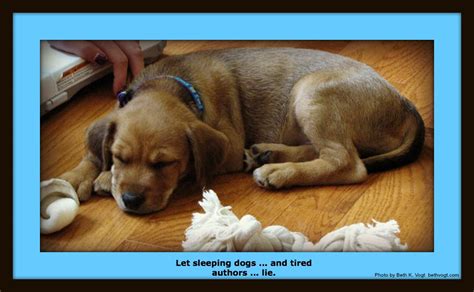 Sleeping Dog Quotes. QuotesGram