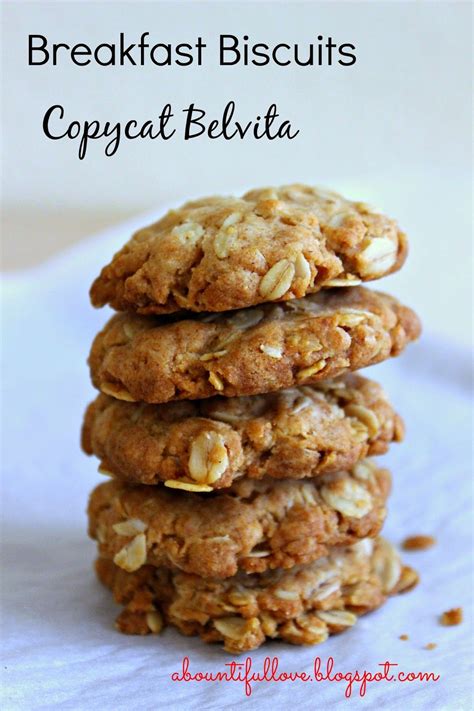 Breakfast Biscuits Copycat Belvita | Breakfast biscuit recipe, Belvita ...