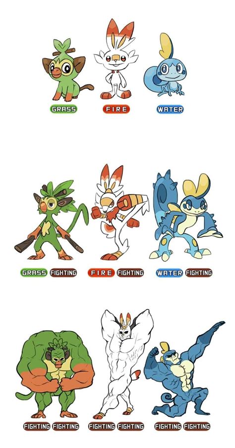 Gen 8 Starter Evolutions | Pokémon Sword and Shield | Pokemon starter ...